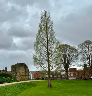 Tonbridge Castle