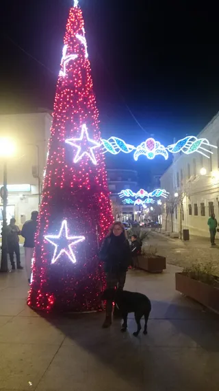 Łuk Trajana