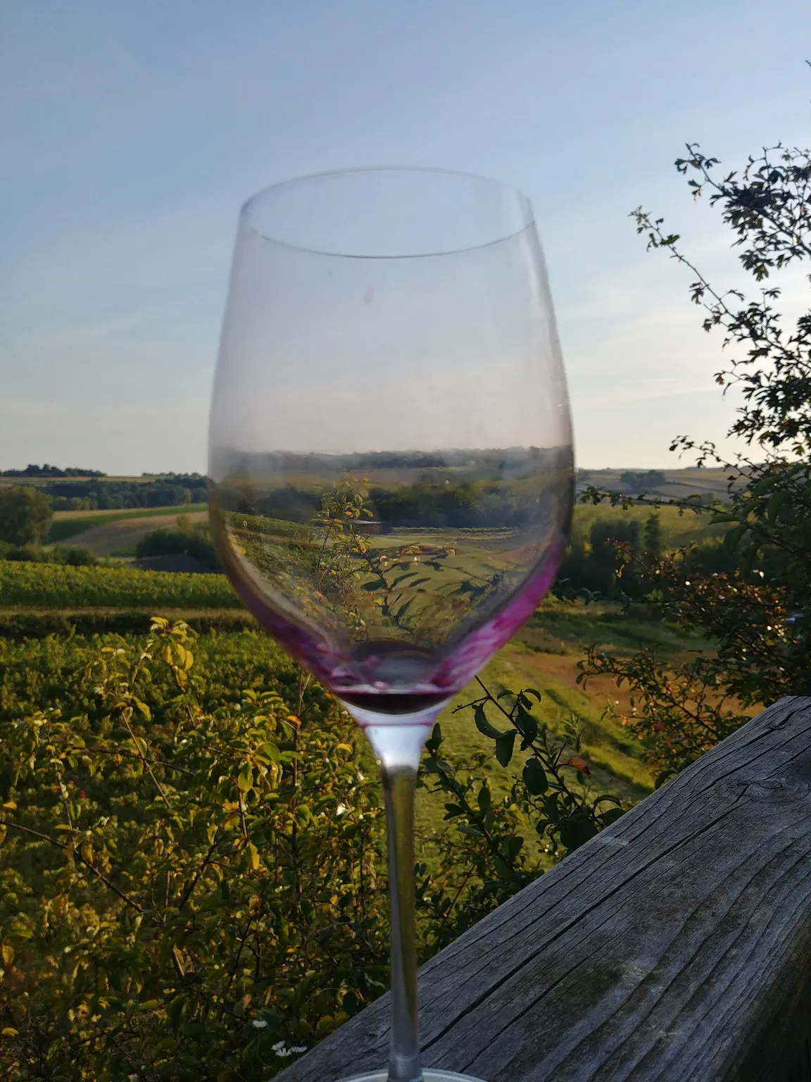 Winnica TERRA