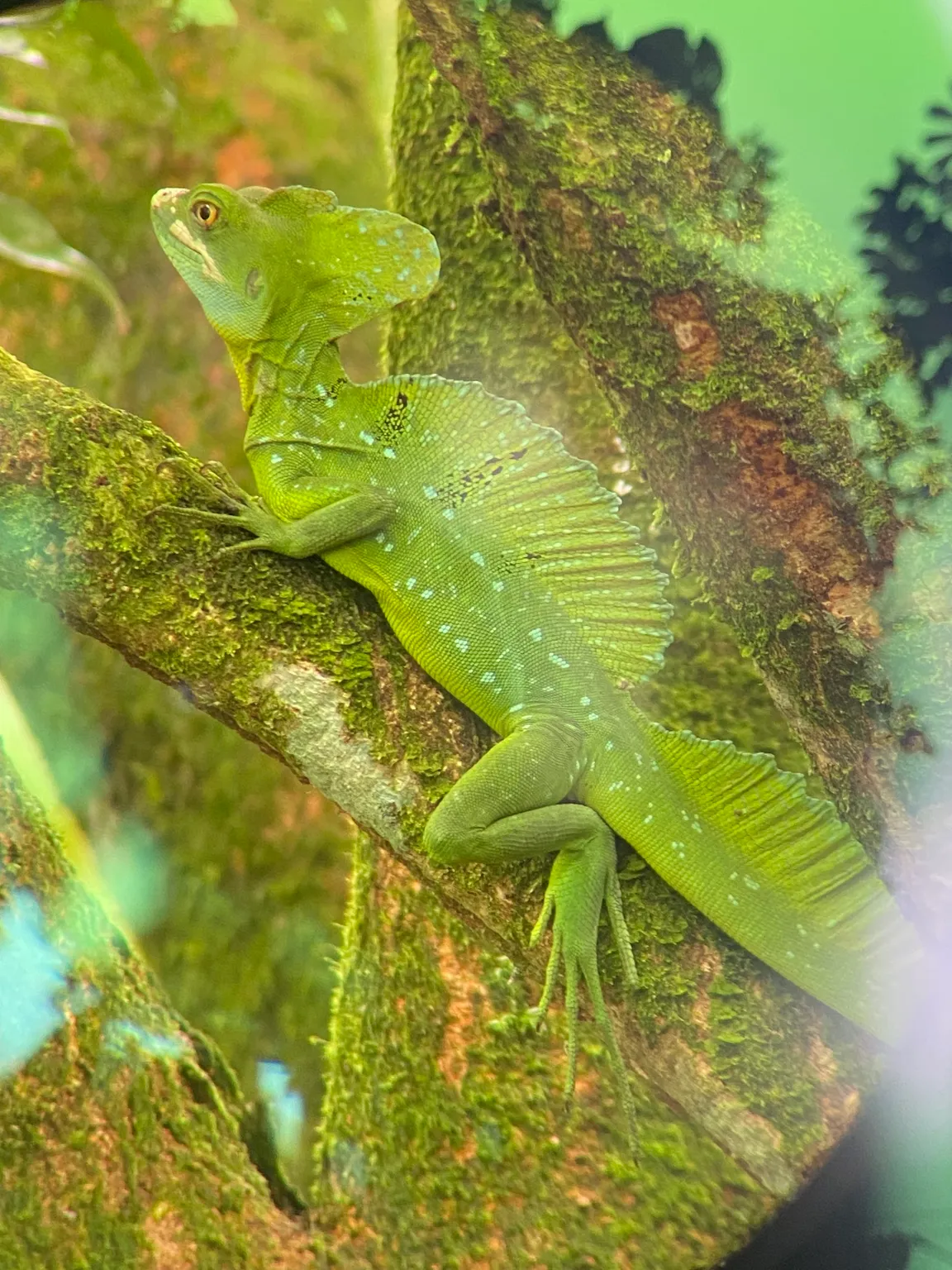 La fortuna Hikes and Trails