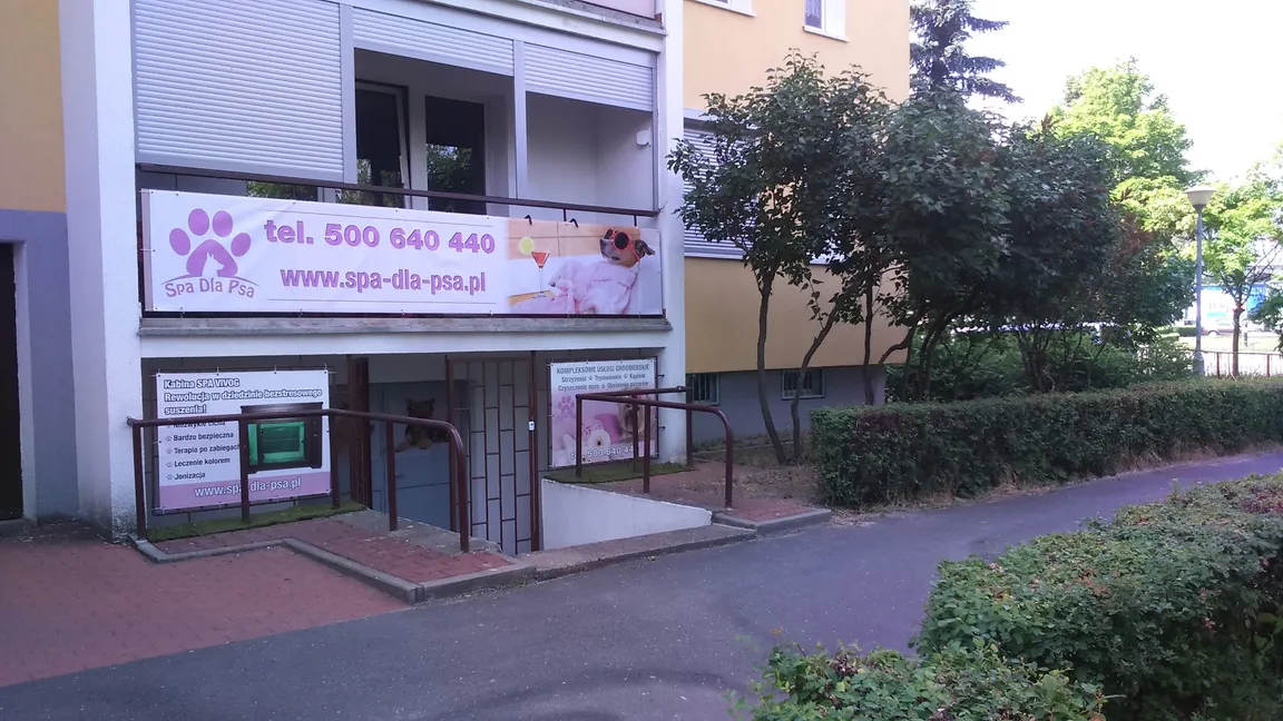 Psi Fryzjer - Spa Dla Psa