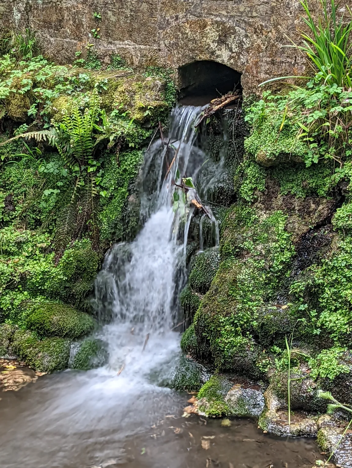 Yeovil Country Park