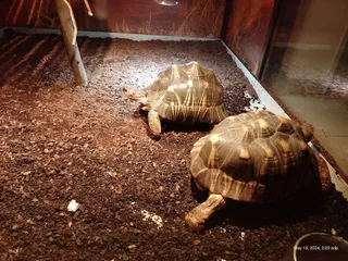 Krokodýlí ZOO Praha