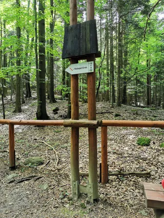 Diabli Kamień