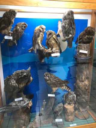 Ośrodek Dydaktyczno-Muzealny Poleskiego Parku Narodowego w Starym Załuczu