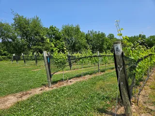 Williamsburg Winery