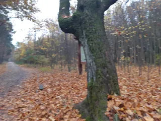 Skrzyżowanie szlaków w Parku Kultury w Powsinie