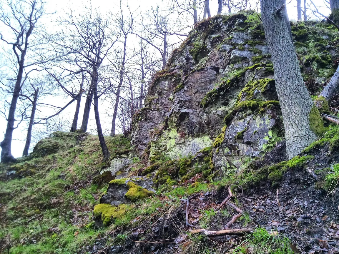 Rezerwat przyrody Wąwóz Siedmicki