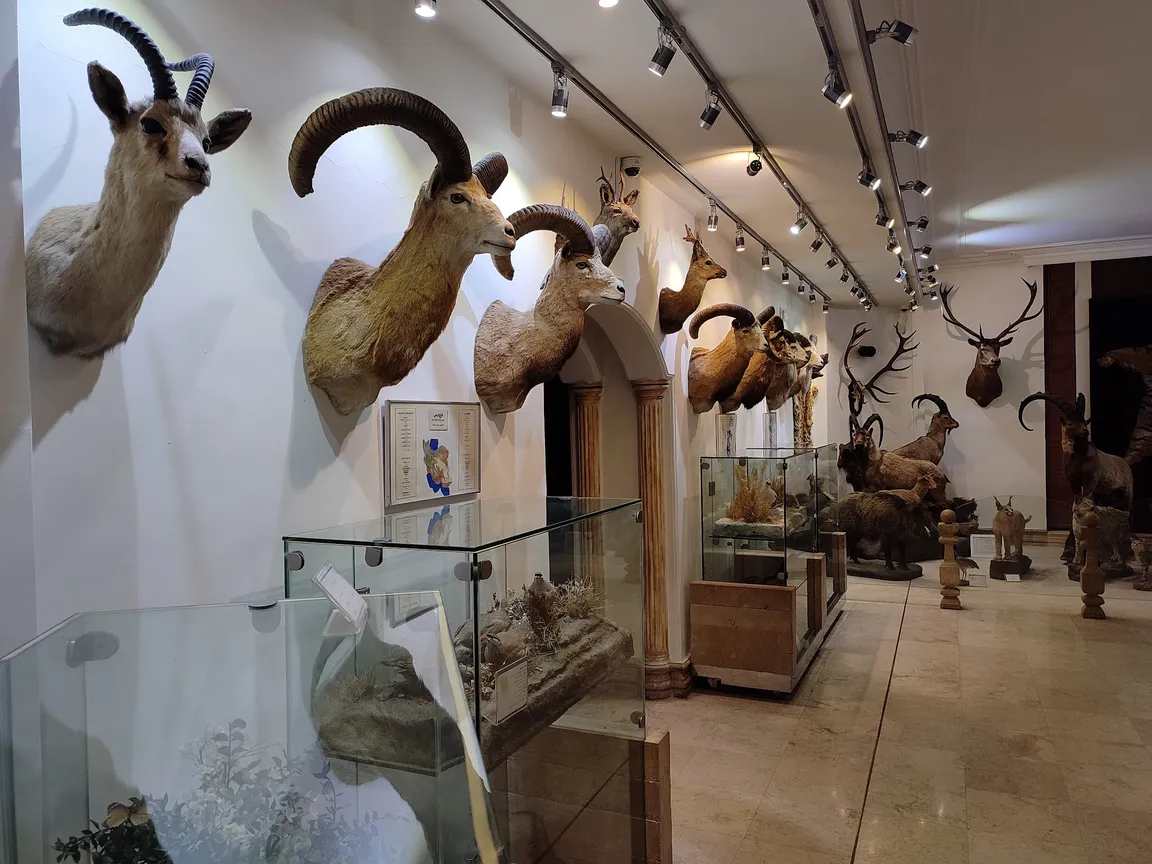 Iran Wildlife and Nature Museum - Dar Abad