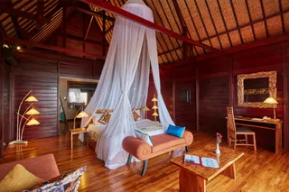 Kupu Kupu Phangan