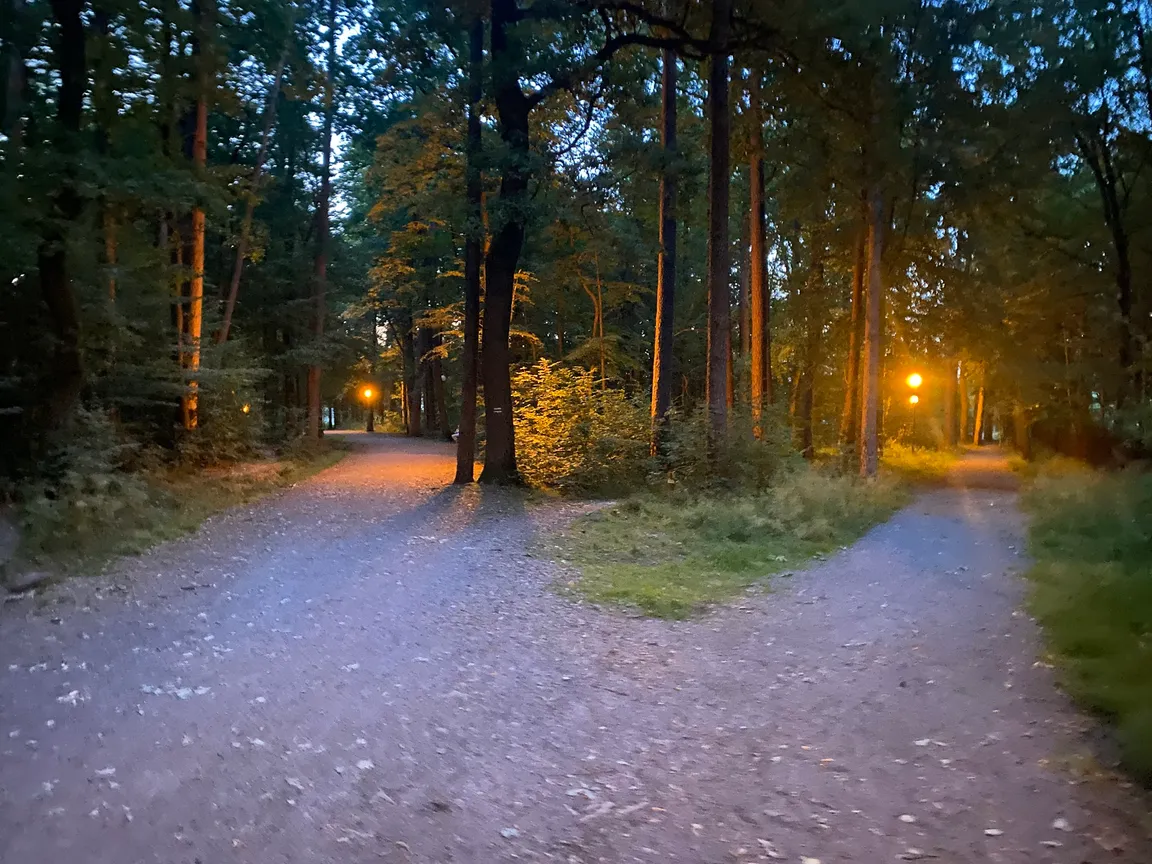 Park Cygański Las w Bielsku-Białej