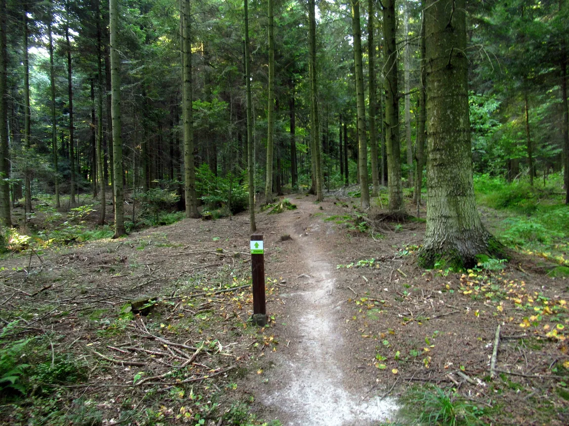 ŚCIEŻKI ROWEROWE
