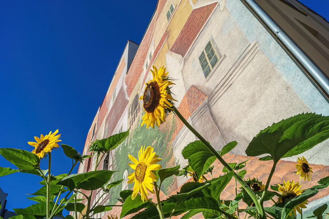 Mural Śródka