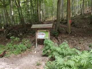 Wanderweg Lindacher Berg