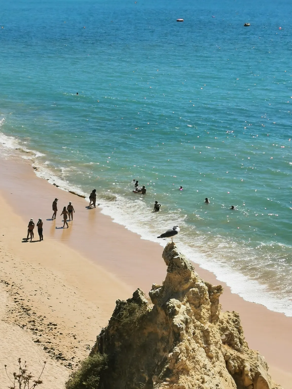 Plaża Vale do Olival