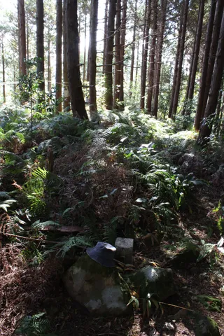 火焼山