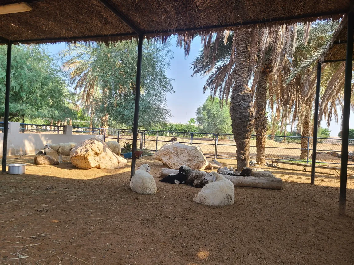 Children's farm