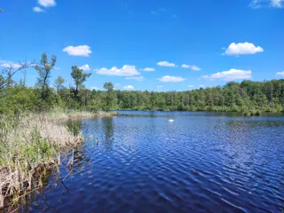 Mazowiecki Park Krajobrazowy