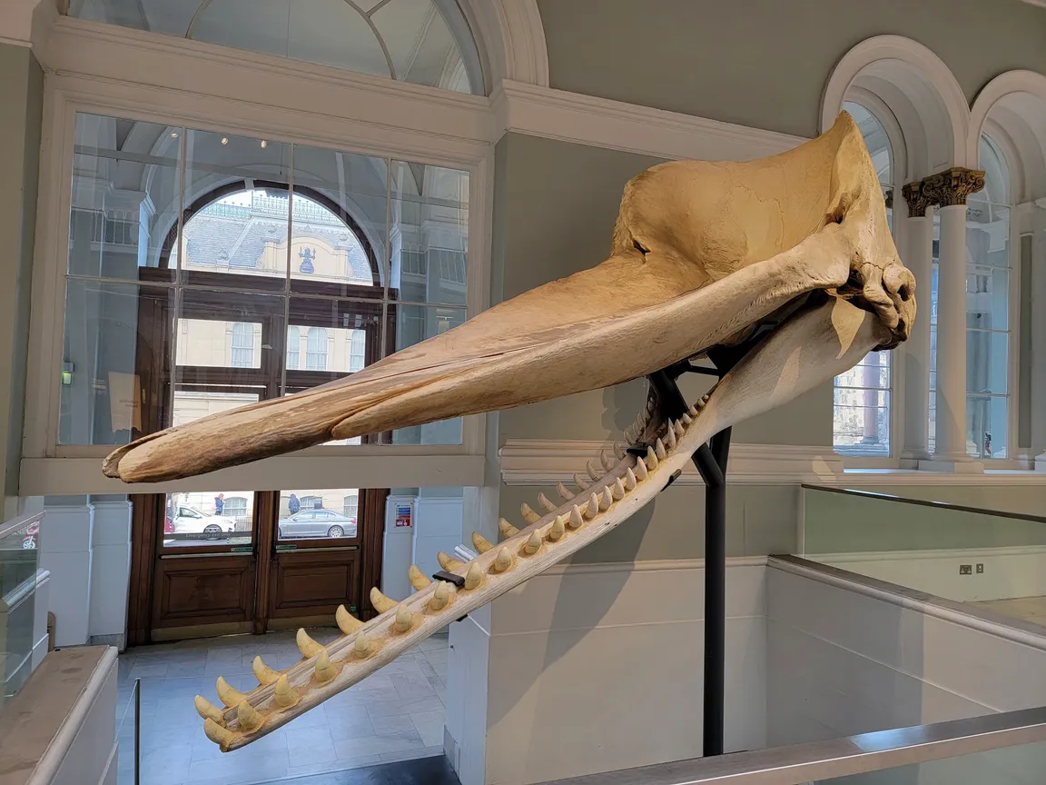 National Museum of Scotland