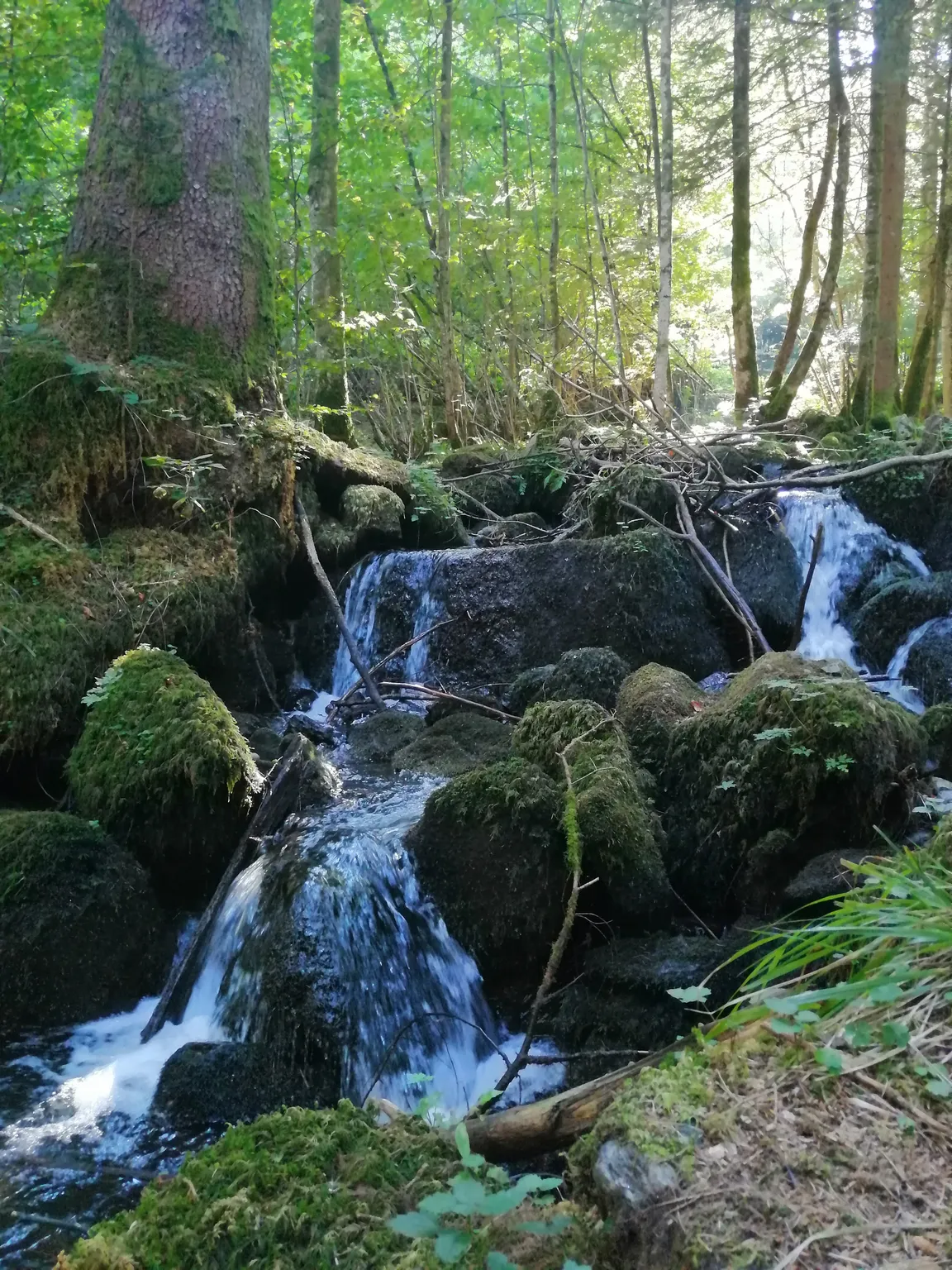 Zweribachwasserfälle