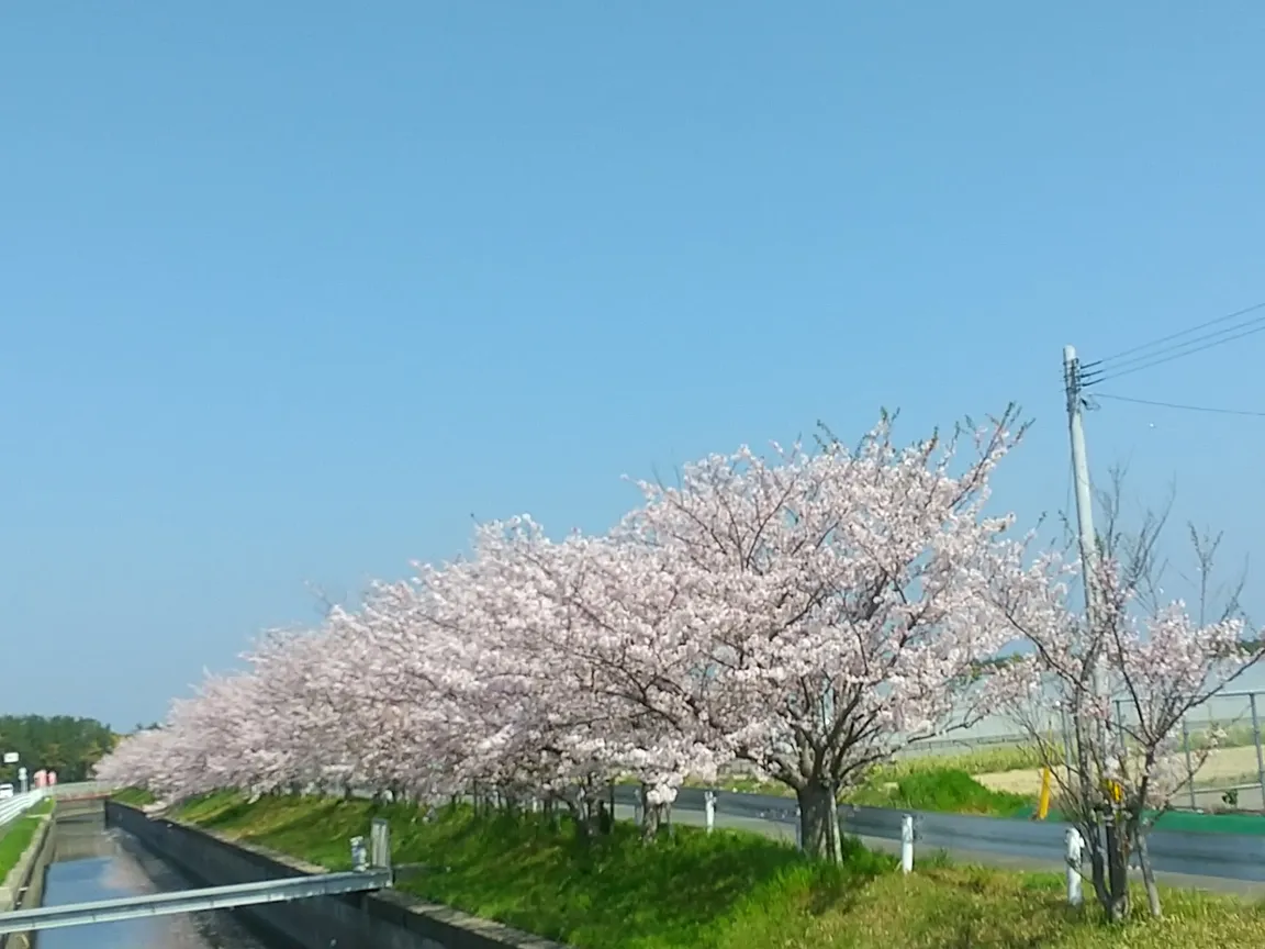 Imazu Sports Park