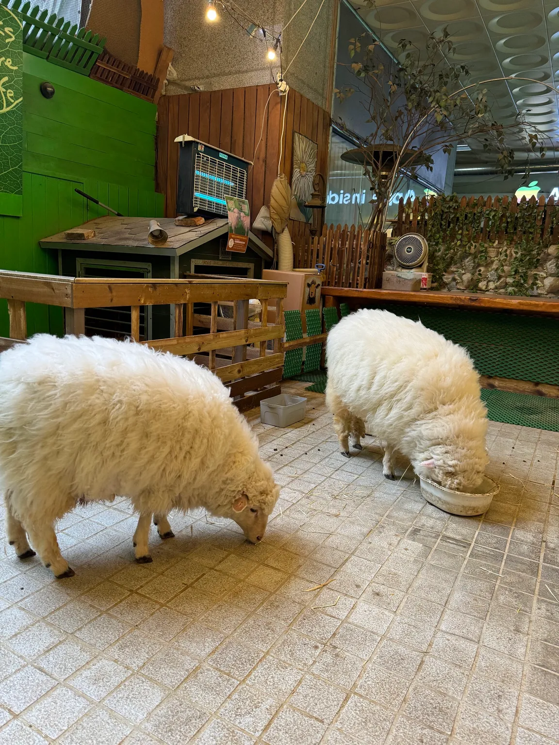 Thanks Nature Cafe