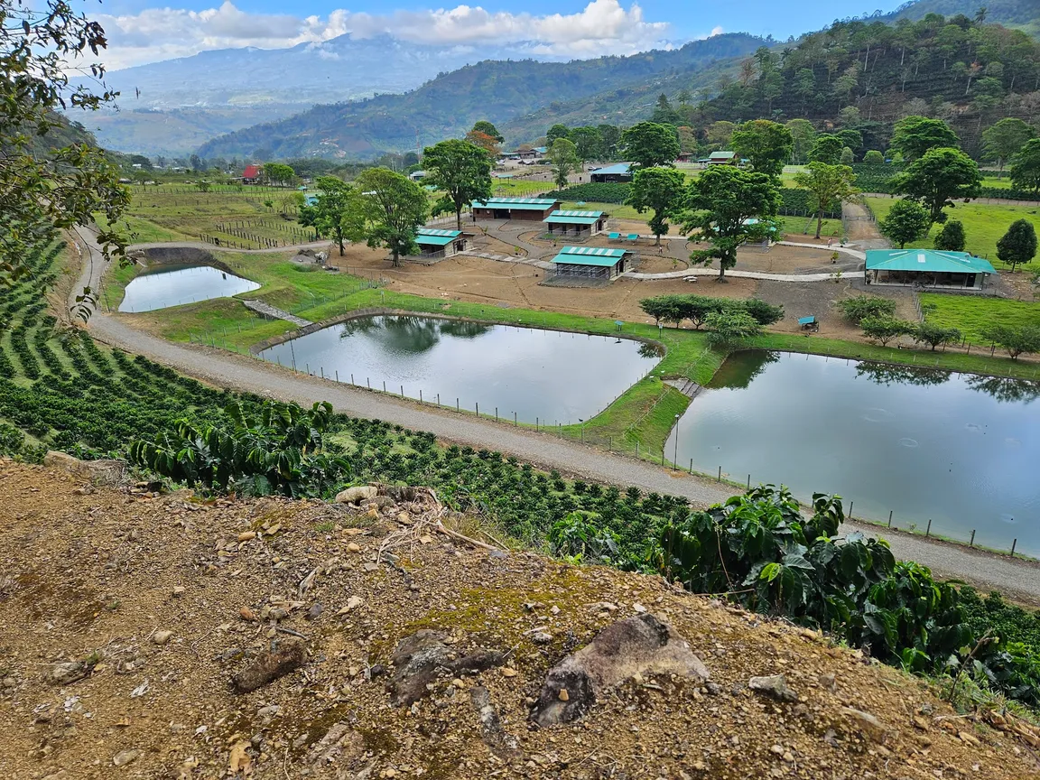 Termales Hacienda Orosi