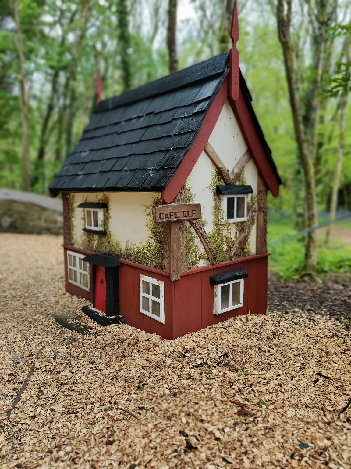 Castlecomer Discovery Park
