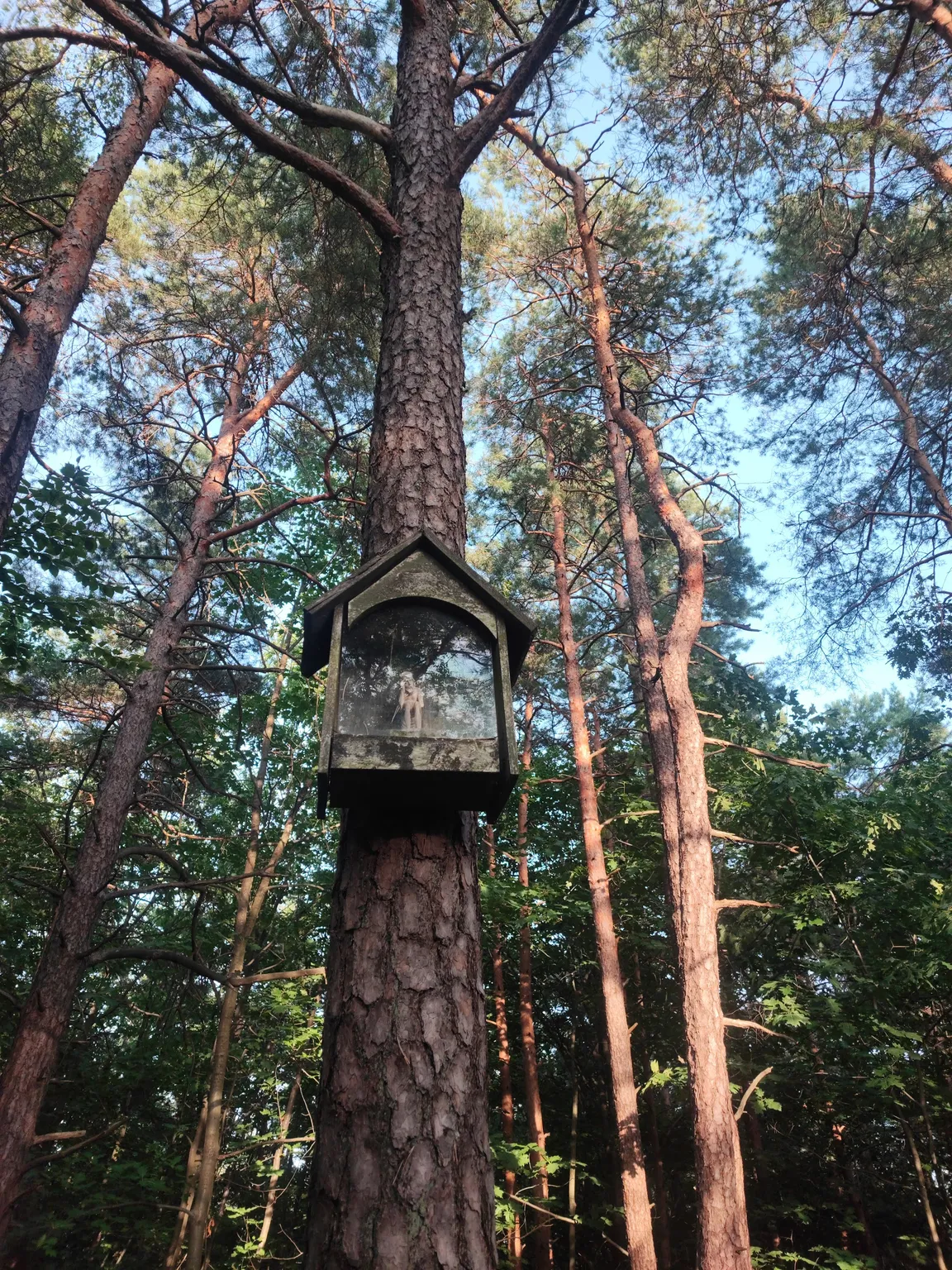 Kamienie Brodzińskiego | rezerwat przyrody