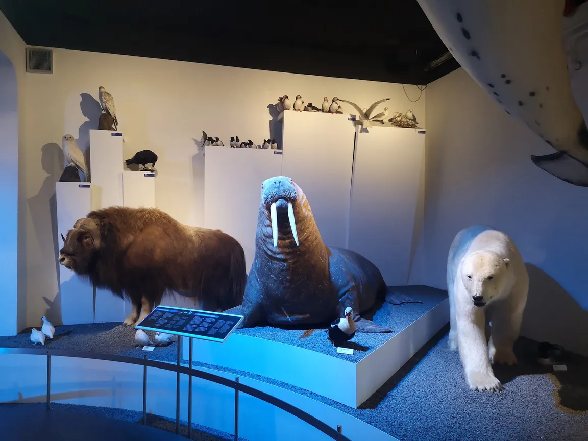 Naturhistorisk Museum Aarhus