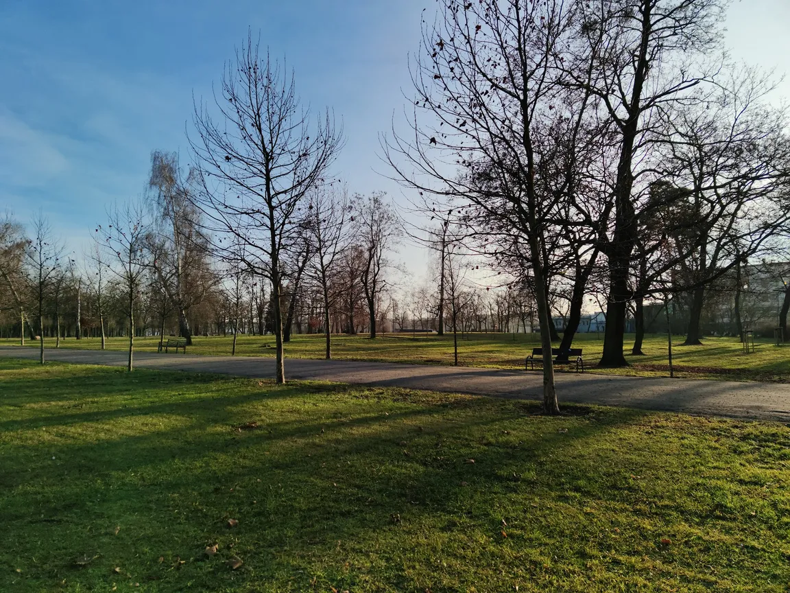 Park Tysiąclecia