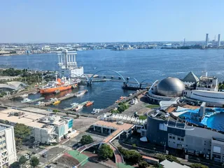 Nagoya Port Sea Train Land