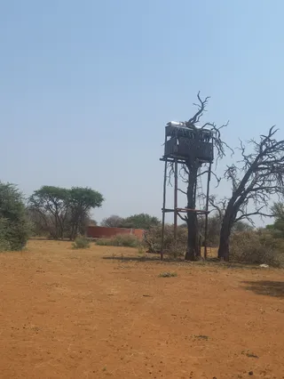 Hunting Farm Shamwari Damara