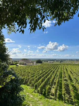 UNIBIKE - Bike Rental Saint-Emilion