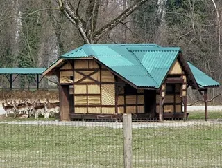 Recinto dei daini