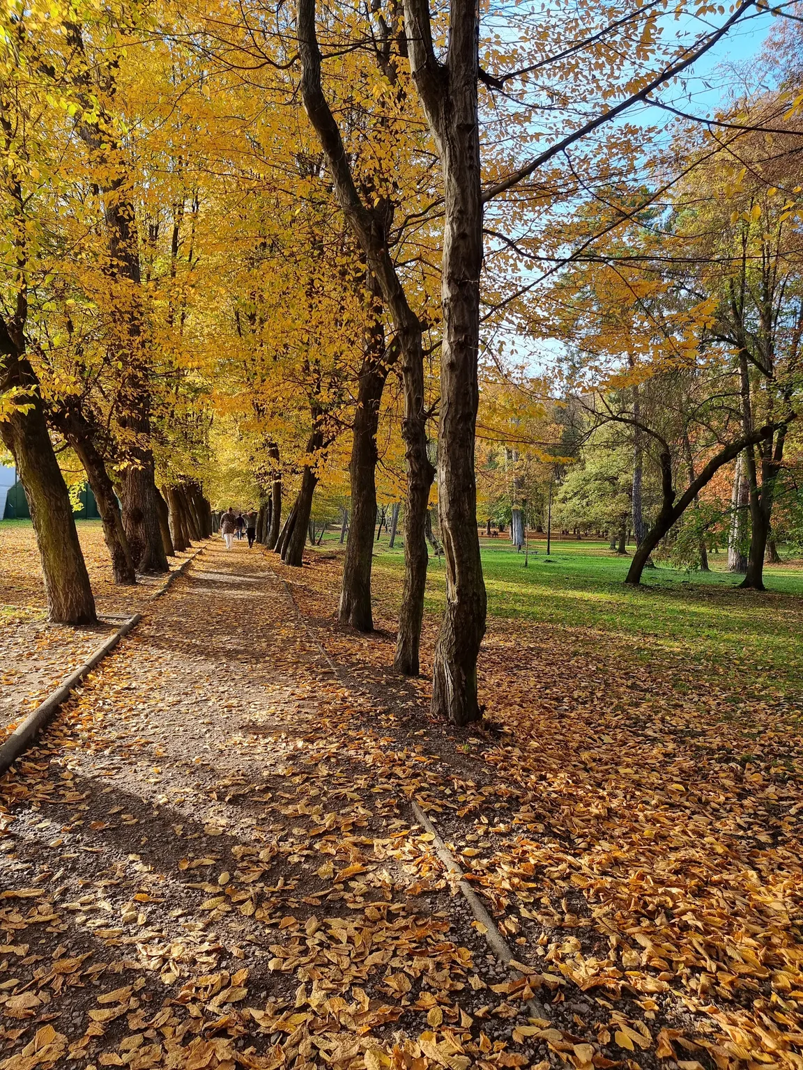 Park Adama Mickiewicza