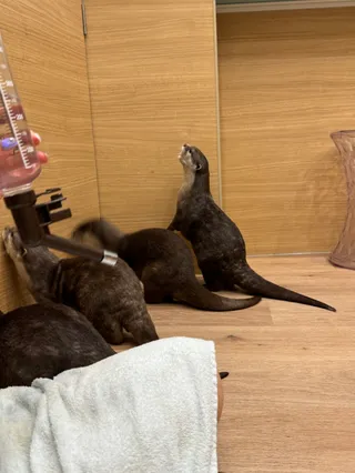 LOUTRE(ルートル)大阪千日前店
