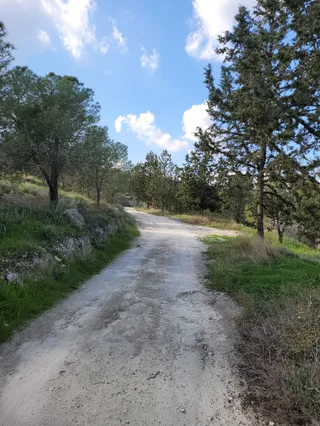 Εθνικό Δασικό Πάρκο Ριζοελιάς