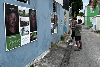 Street Exhibition - Meet our local Farmers