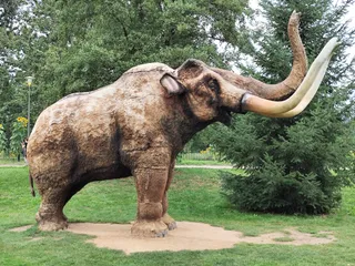 Zoo Lubin - Ogród Zoologiczny w Lubinie