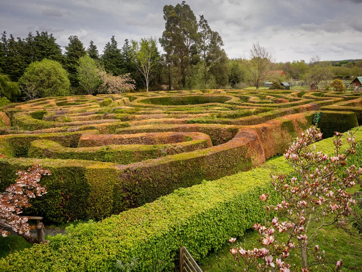 Greenan Maze