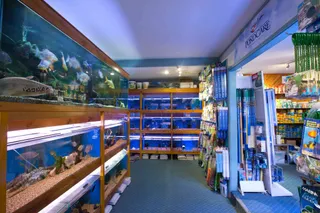 Annerley Aquarium