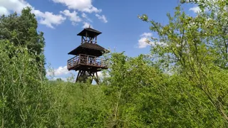 Wieża widokowa - Orchówek