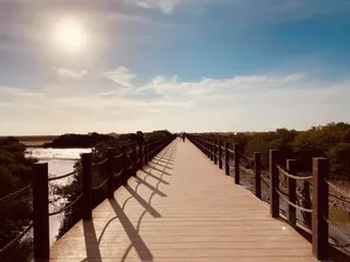 Purple Island, Mangroves