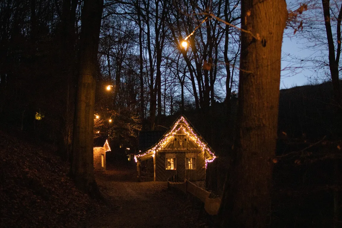 Fairytale forest Altenberg
