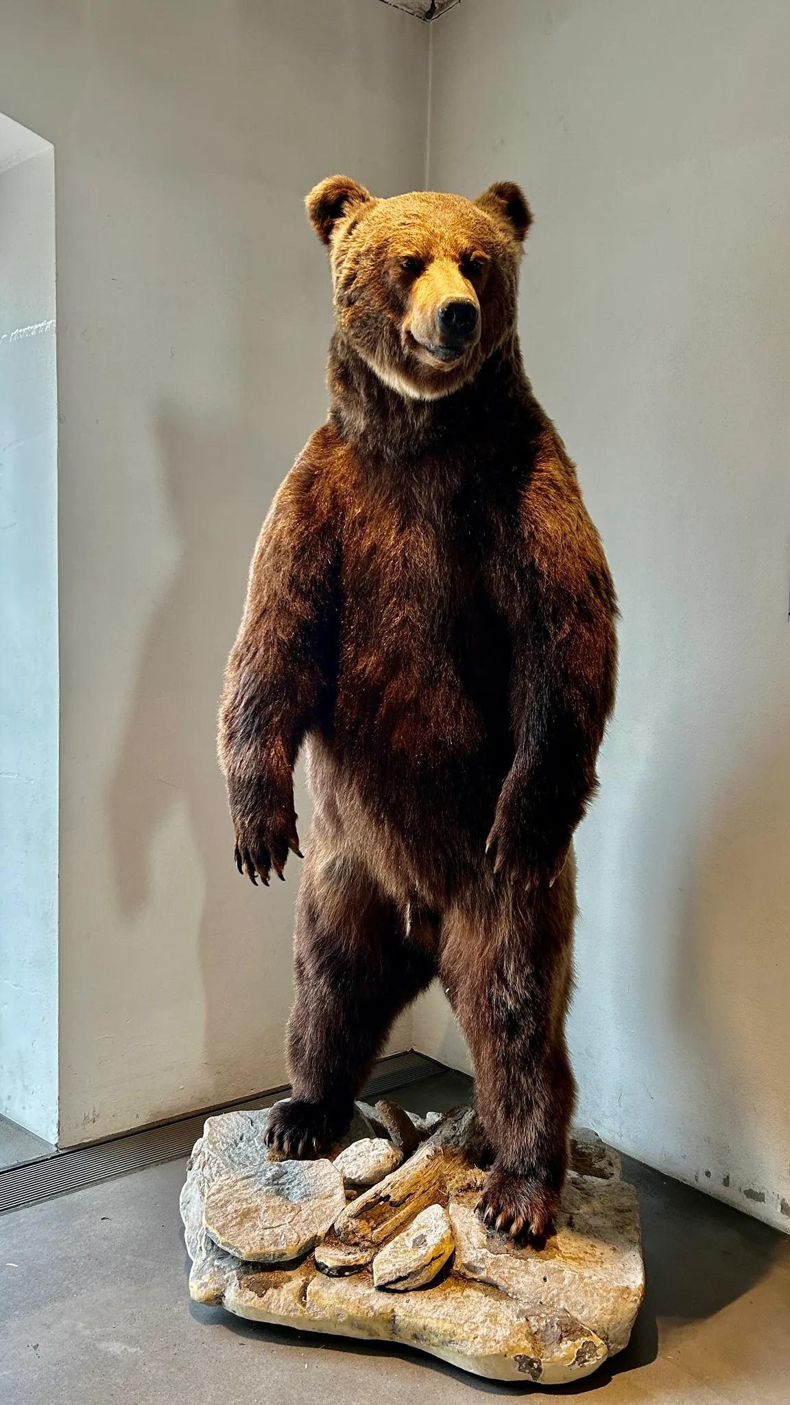 inatura - Erlebnis Naturschau Dornbirn