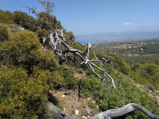 Smigies Nature Trail