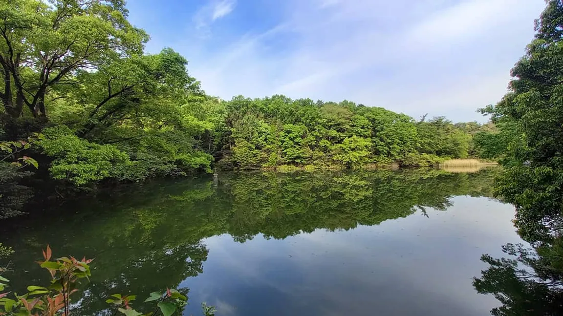 Hachiryu Ryokuchi Park