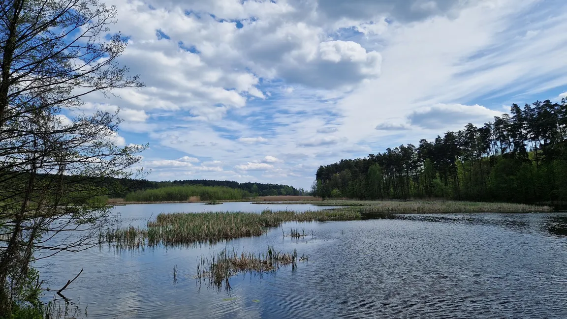Brodnicki Park Krajobrazowy