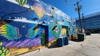 RoRo Street Art Tour in Phoenix